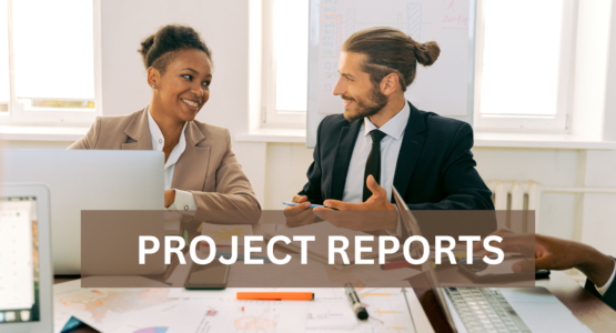 Project reports